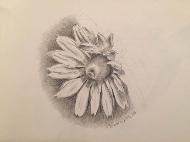 art_flower_graphite_8853
