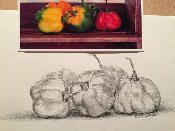art_picture_peppersinGC_graphite_8894