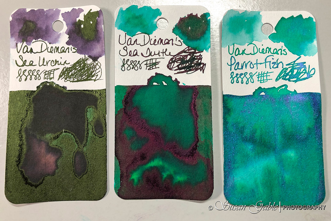 A Few Van Dieman's Inks – SusieG Studio