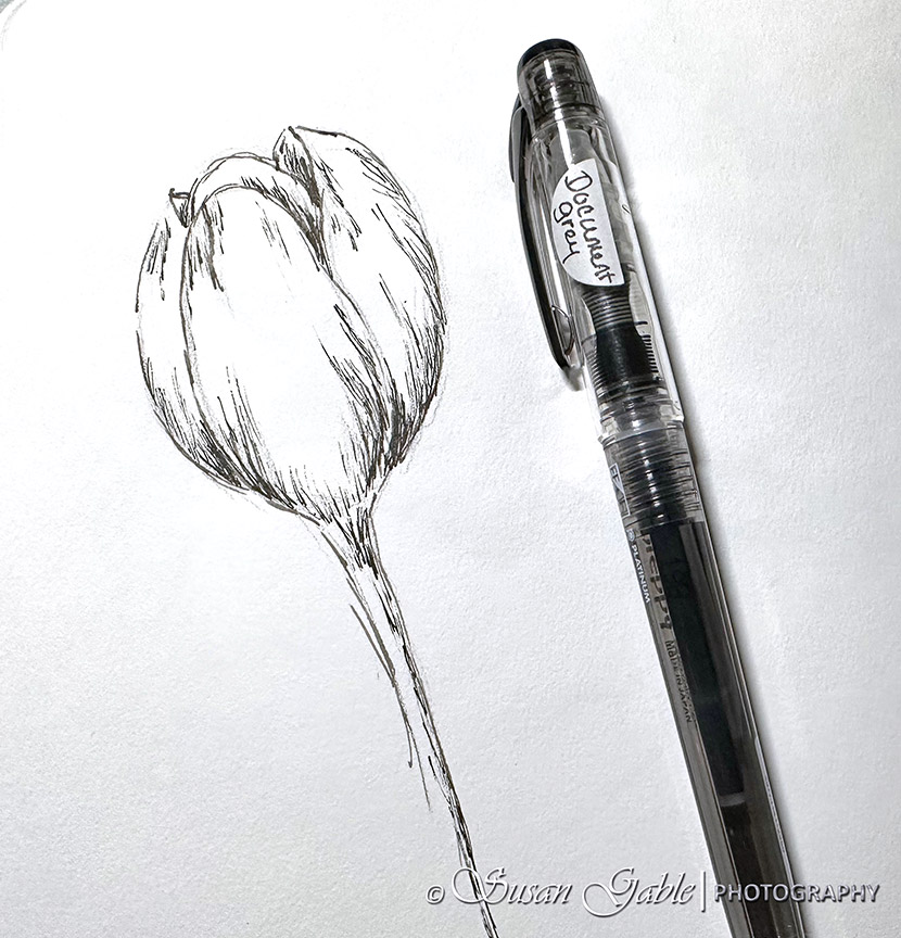 I Am Still&nbsp;Sketching