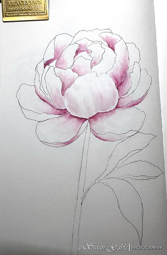 Jinhao 955 Ceramic Porcelain Fountain Pen – Medium Nib, Hand-Painted Peony Flower, Blue