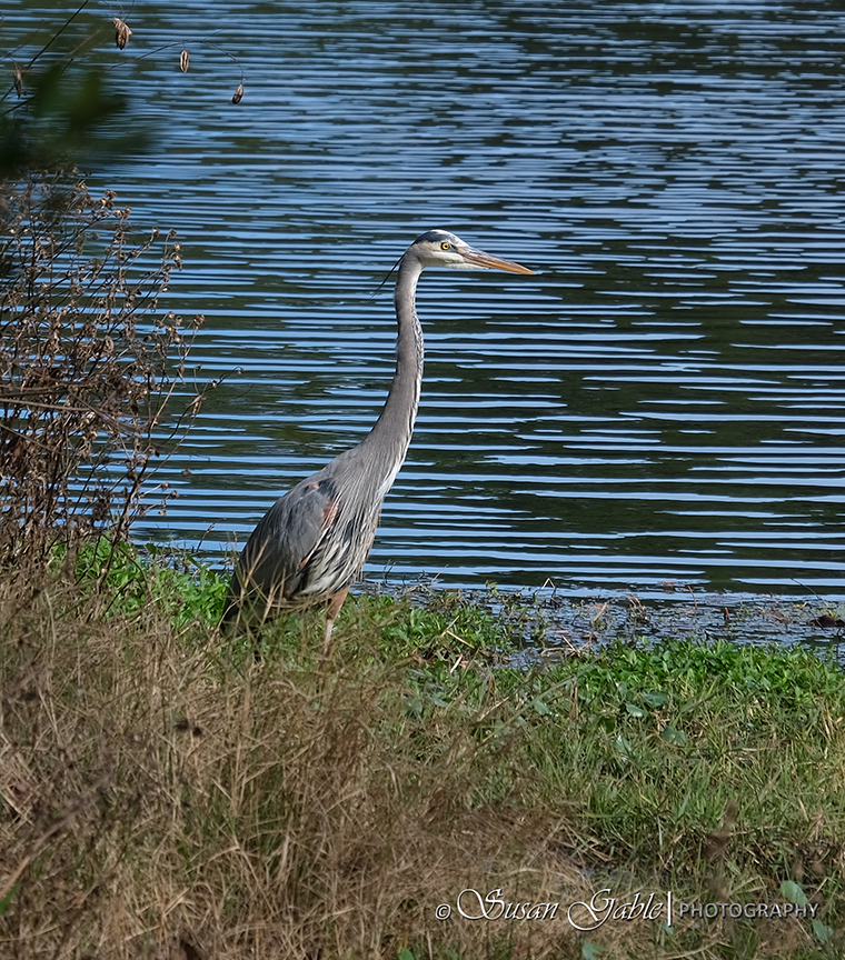 Nature – a Local&nbsp;Park