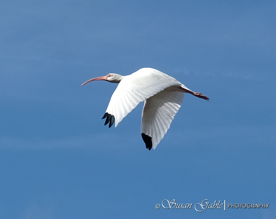 Nature – On an&nbsp;Island