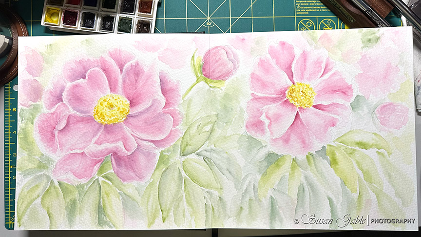 A Peony Watercolor Painting in My Luchetti&nbsp;Sketchbook