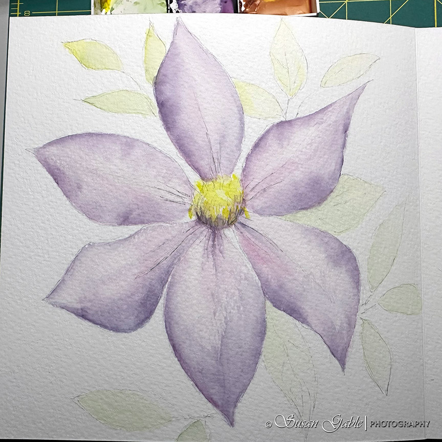 A Clematis Watercolor Adventure in My Luchetti Sketchbook-Part 1:  Initial Sketch and Building Layers of&nbsp;Colors