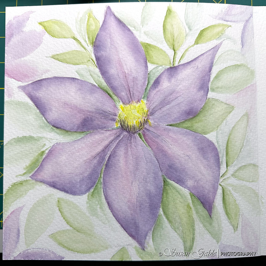 Clematis Watercolor Painting in My Luchetti Sketchbook-Part 2: My Finished Painting